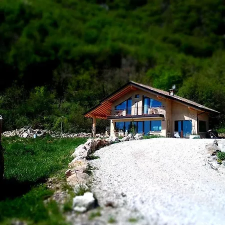 Asinochevola